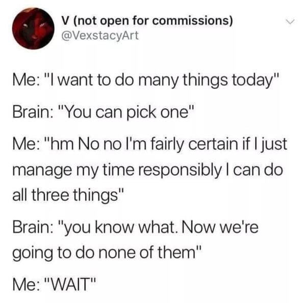 ADHD Meme - want do many things today