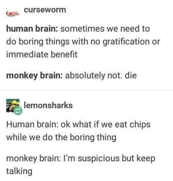 ADHD Meme - boring things eat chips