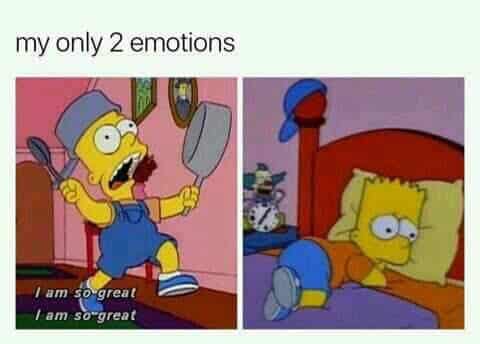ADHD Meme - only 2 emotions