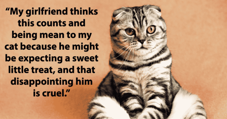 Woman Labeled An A-Hole For “Lying” To Her Cat, But Refuses To Back Down