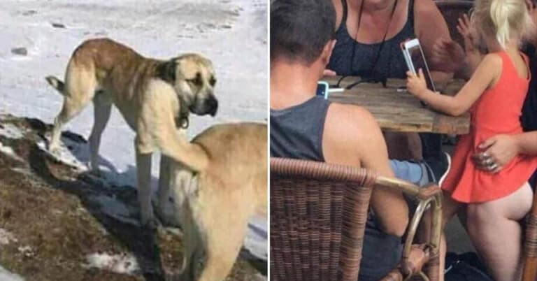 50 Confusing Photos It Might Take Your Dumb Brain 10-15 Seconds To Figure Out