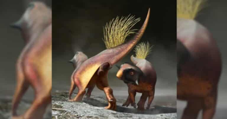 First “Perfect” Preserved Dinosaur Butthole Delights Scientists And Twitter