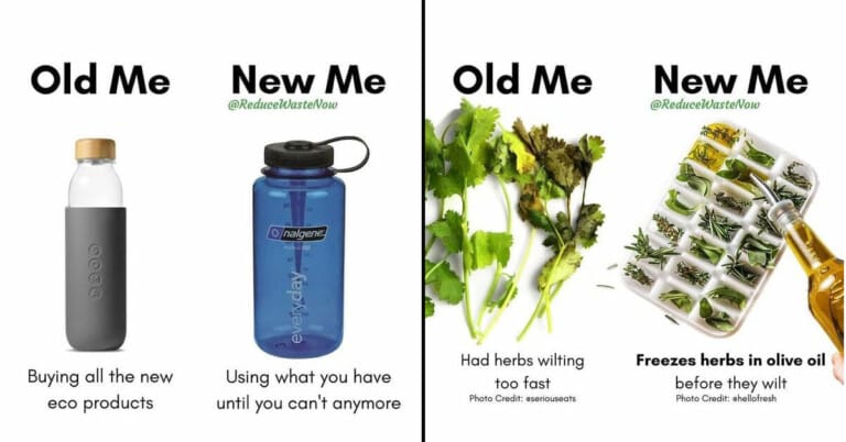 “Old Me Vs. New Me” Memes Will Help You Implement Waste Reduction (50 Pics)