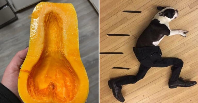 Morning Random Pic Dump (35 Pics)