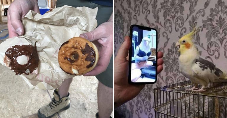 Morning Random Pic Dump (35 Pics)