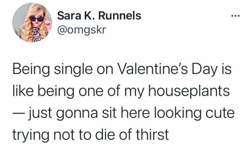 27 Valentine's Day Memes That Are Really Only Funny If You're Single