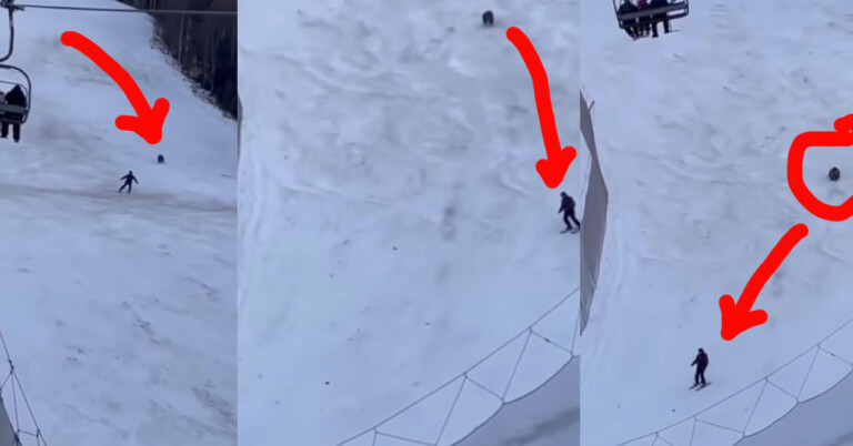 Viral Video Of A Bear Chasing A Skier Down A Mountain Might Give You A New Reason To Stay Inside