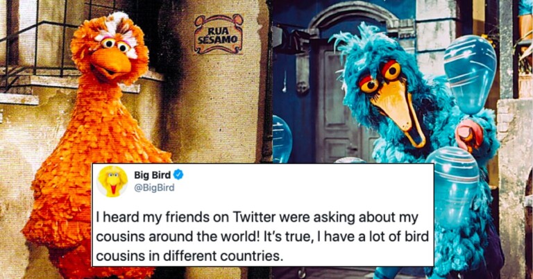 People Are Surprised To Find Out Big Bird Is Different Colors In Different Countries