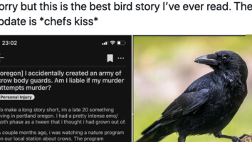 crows save neighbor