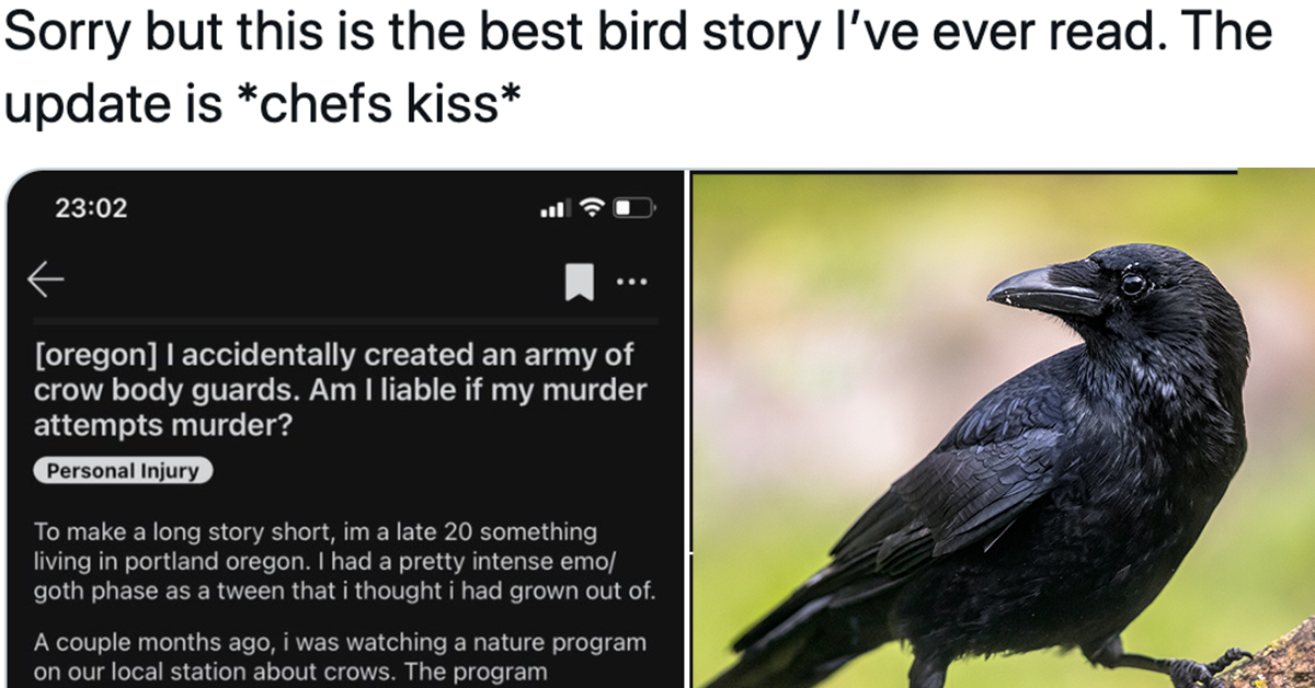 Woman Accidentally Creates Crow Army Saves Neighbor's Life