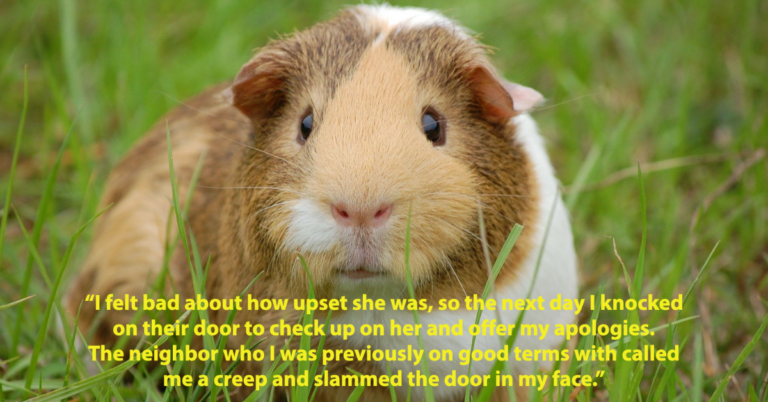 Man Asks If He Was Wrong To Cook Guinea Pig In Front Of Neighbor’s Kids