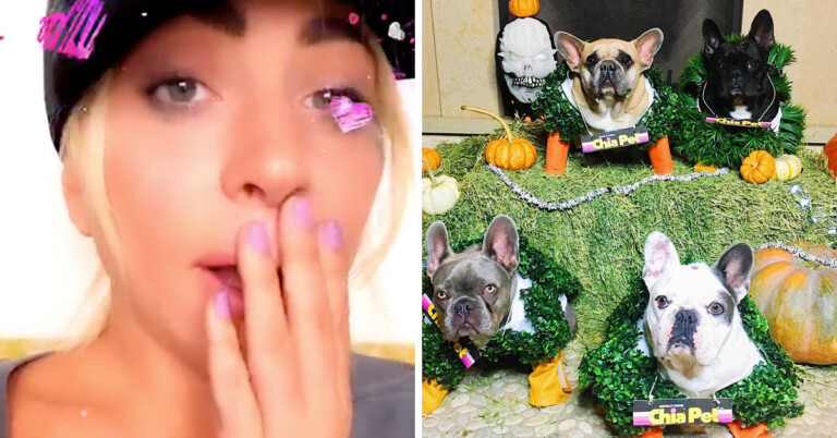 Lady Gaga’s Dogs Were Stolen After A Gunman Shot Her Dog Walker And She’s Offering A Huge Reward
