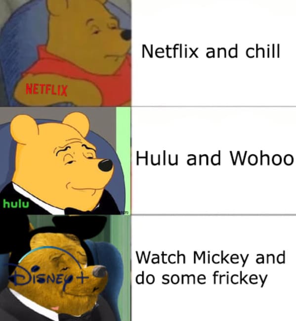 Netflix and Chill, funny Netflix and chill memes, unwholesome memes, Disney plus and thrust, streaming service, jokes about hooking up, what does Netflix and chill mean, funny tweets