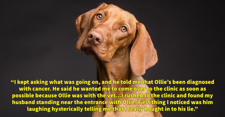 Husband “Pranks” Wife Into Thinking Their Dog Has Cancer And People Are Calling Him Out For Abuse