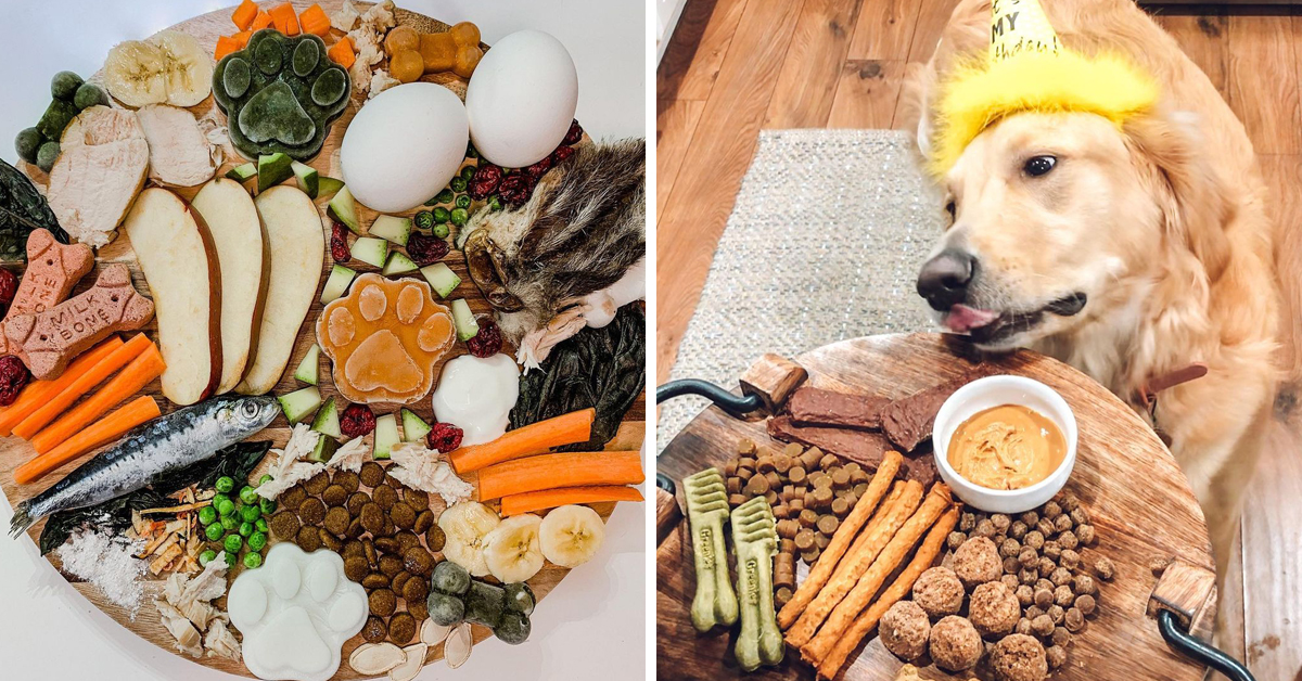 barkuterie, charcuterie dogs