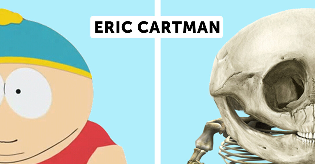 Artist Draws Anatomically Correct Skeletons Of Popular Cartoon Characters