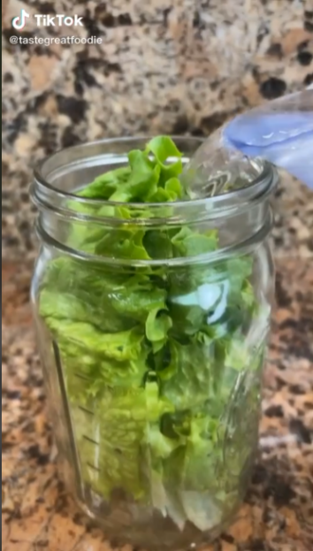 TikToker's Viral Hack Keeps Your Lettuce Fresh For A Month