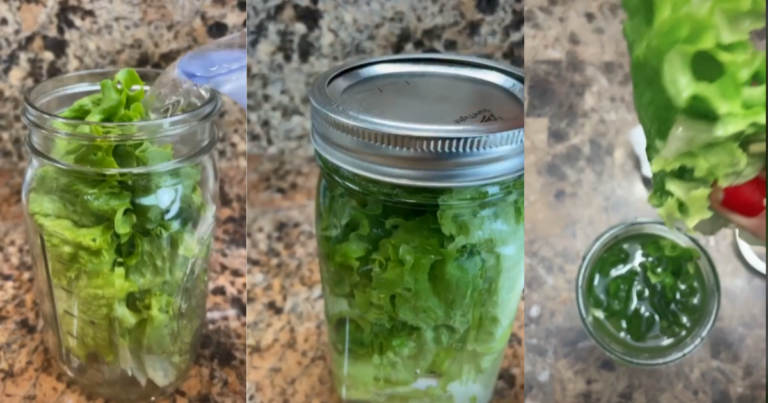 TikToker’s Viral Hack Keeps Your Lettuce Fresh For A Month