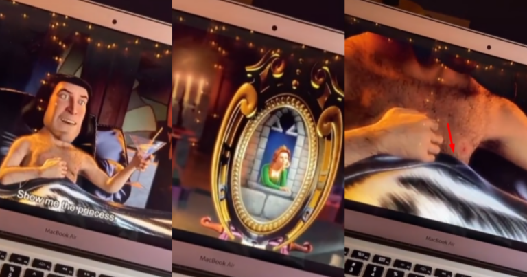 TikToker Reveals A Raunchy Scene In “Shrek” And People Are A Little Traumatized