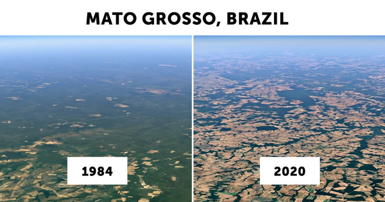 New Google Earth Time-lapse Feature Shows The Damage Humans Made To The Planet Since 1984