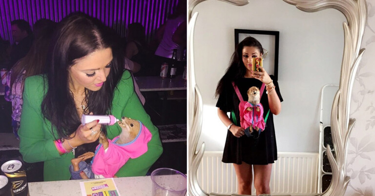 This Woman Has Carried Around A Taxidermy Fox Everywhere For The Past 4 Years (20+ Pics)