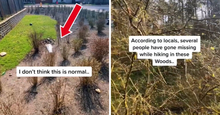 TikToker Says He Found “Hidden Speakers” In His New Neighborhood And People Are Divided