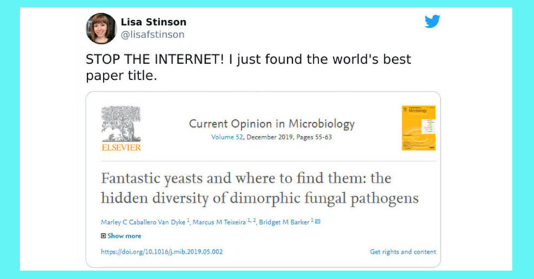 Scientists Are Sharing The Funniest And Most Offensive Research Paper Titles They’ve Seen