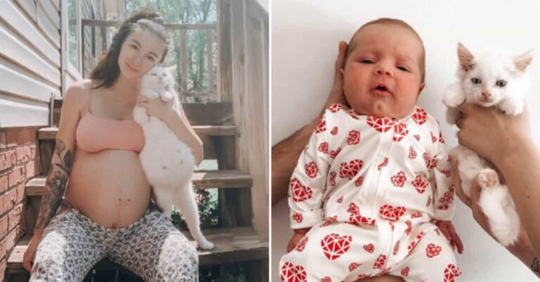 50 Wholesome Posts We Frankly Don’t Deserve