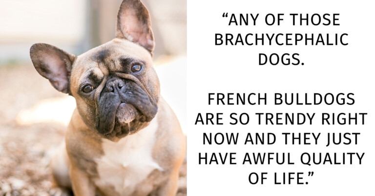 “What Do You Think Will Be Illegal In 25 Years?” (15 Responses)