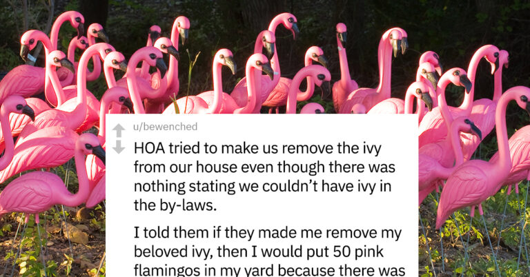 20 Homeowners Are Sharing Their Most Satisfying Revenge HOA Stories