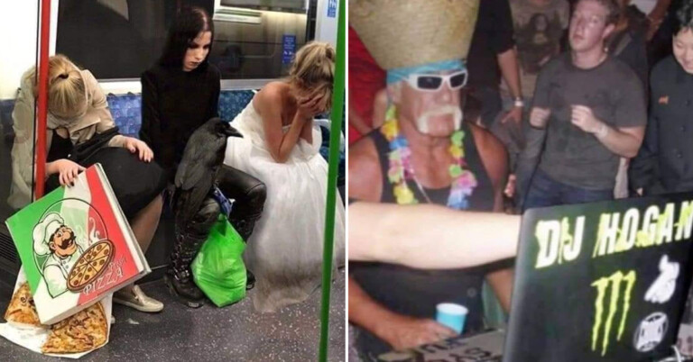 30+ Images With Just, A LOT Going On In Them