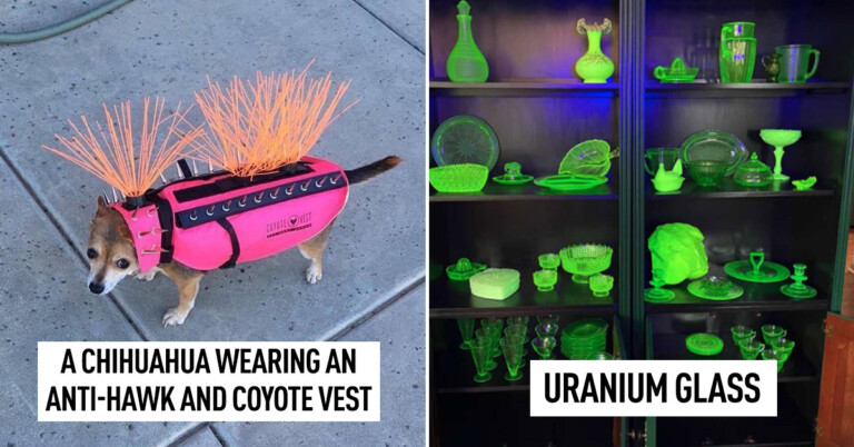 30 Of The Most Fascinating Internet Posts We Found In The Past Month