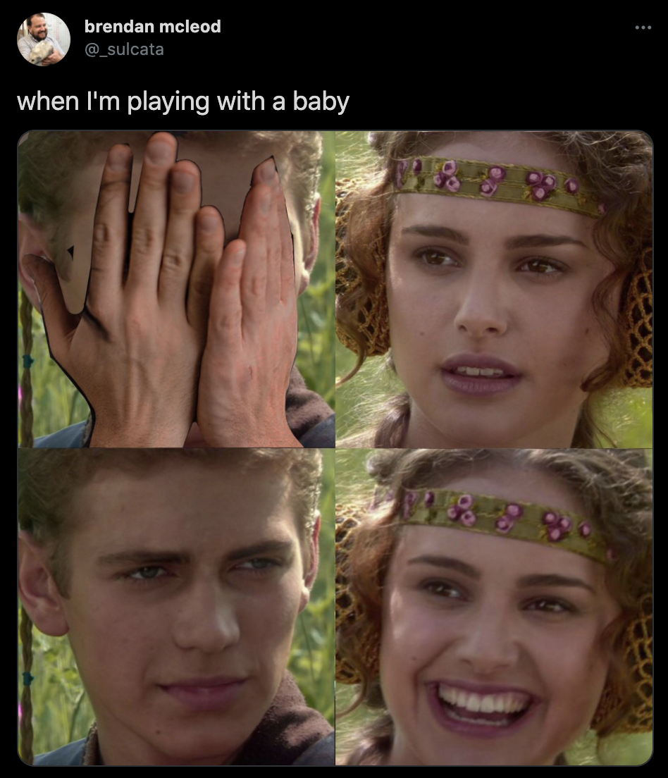 Just 23 Of The Funniest Padme And Anakin Memes