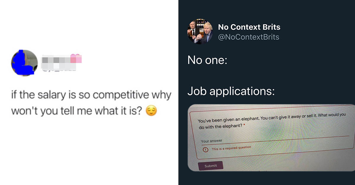 31 Job Application Memes That Take Zero Years Experience To Enjoy