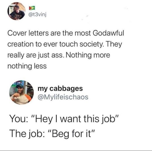 job application letter meme