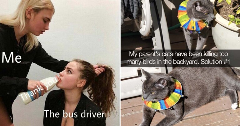 Morning Random Pic Dump (35 Pics)