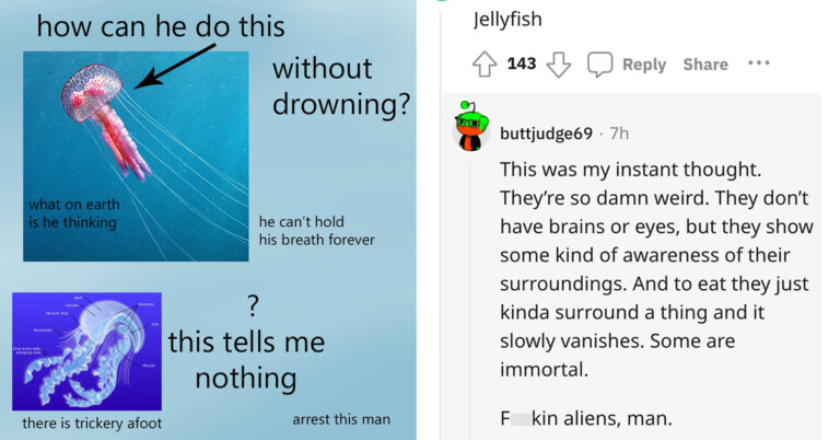 People Are Debating Which Animals Are Secretly Aliens Sent To Spy On Us (17 Posts)