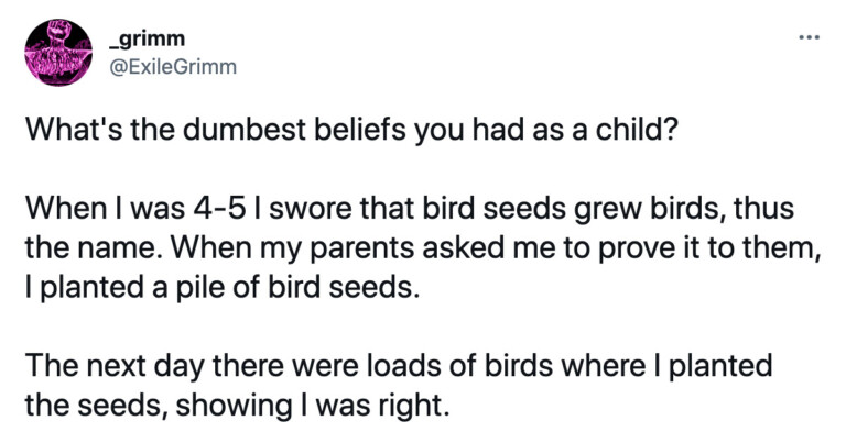 Adults Share The Funniest, Dumbest Beliefs They Had As Kids (26 Posts)