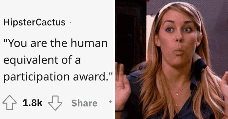 People Are Sharing Their Favorite Insults (18 Posts)