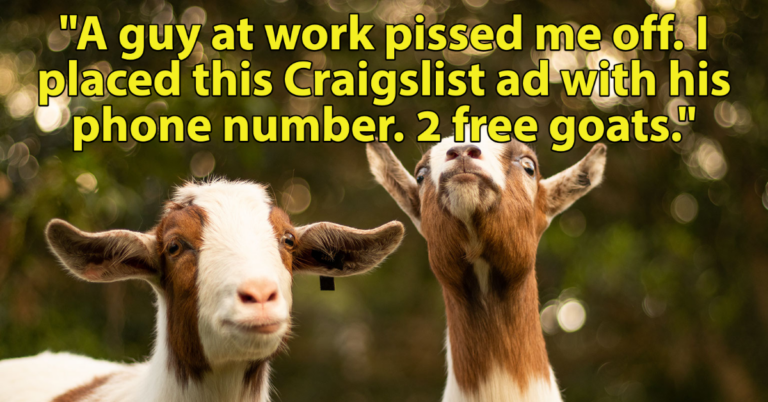 People Are Sharing Times They Got Sweet, Petty Revenge (17 Stories)