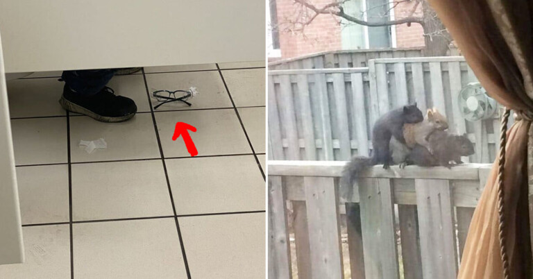 Ohh, So That’s Why They Call Them “Cursed Images” (25 Pics)