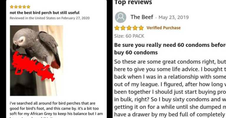 21 “Oh, OK, That’s A Little Unwholesome” Amazon Reviews