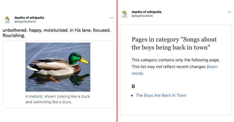 This Twitter Account Dug Up The Weirdest Entries On Wikipedia