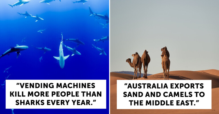 People Are Responding To The Question “What’s A Fact That Sounds Fake But Is Actually Completely Real?”