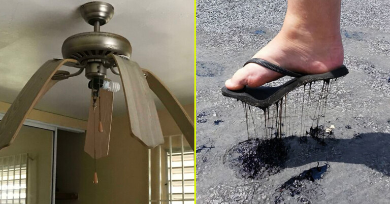 40 People Share The Brutal Results Of The Summer Heatwave