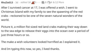 Make-A-Wish Employees Share The Craziest Wish Requests From Kids