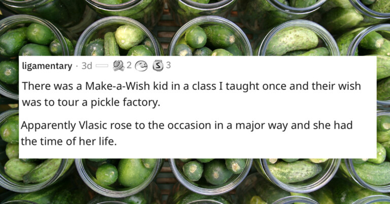 Make-A-Wish Employees Share The Wildest Things Kids Have Asked For (24 Responses)