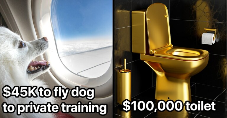 17 Ridiculous Things Ultra-Rich People Spend Tons Of Money On Most Of Us Don’t Know About
