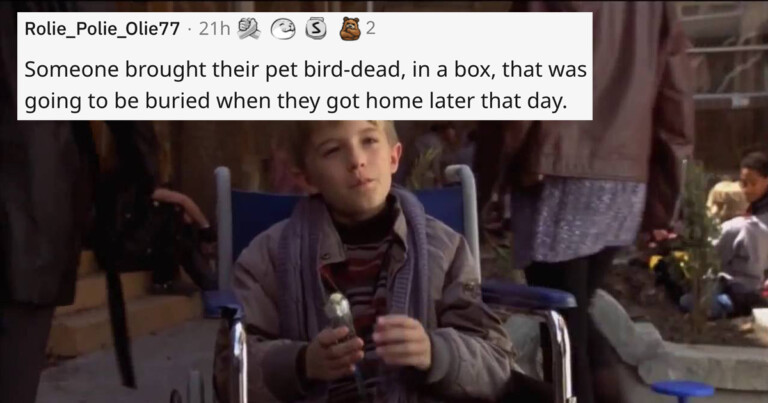 Teachers Are Sharing The Worst Show And Tell Items Kids Brought To Class (20 Stories)