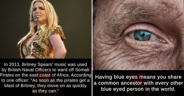 50 Interesting Facts To Drop In Your Think Bucket